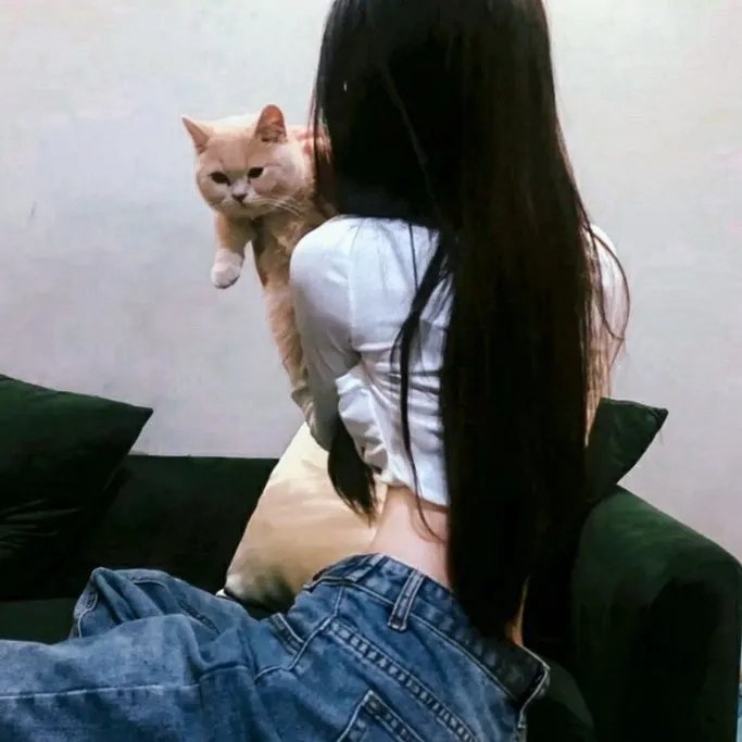 试播