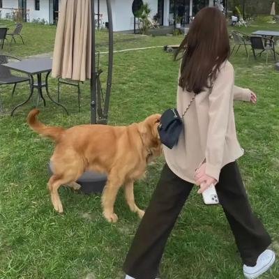 一路向暖第二季